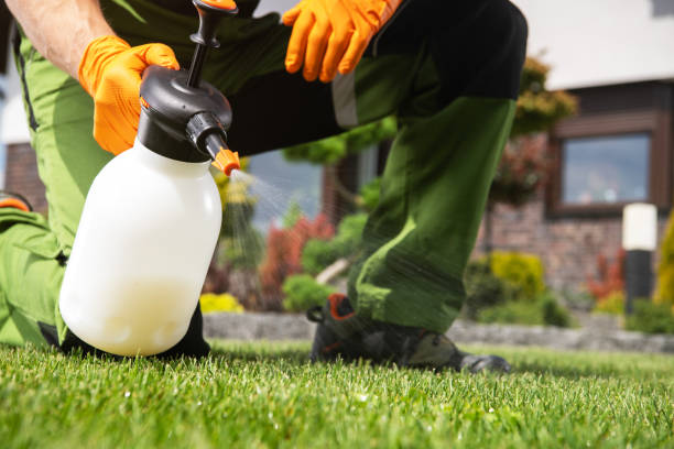 Best Residential Pest Control  in Scotland Neck, NC