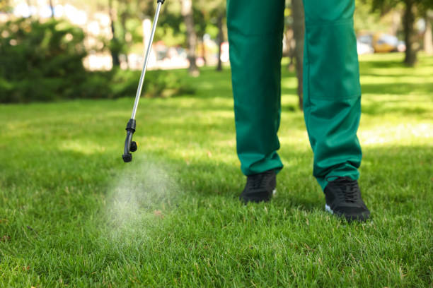 Best Bed Bug Extermination  in Scotland Neck, NC