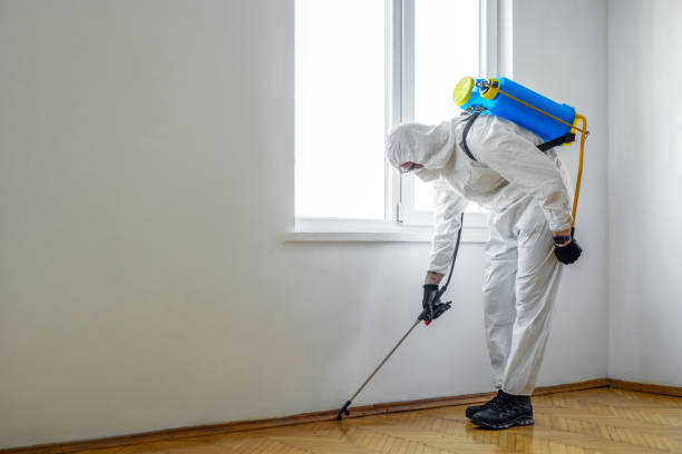 Best Affordable Pest Control Services  in Scotland Neck, NC