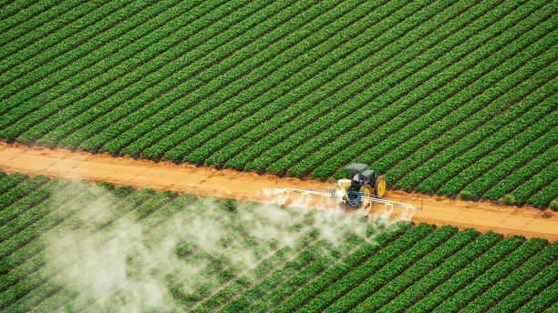 Best Pest Removal Services  in Scotland Neck, NC