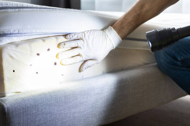 Best Exterminator Services  in Scotland Neck, NC