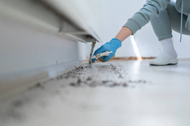 Best Bed Bug Extermination  in Scotland Neck, NC