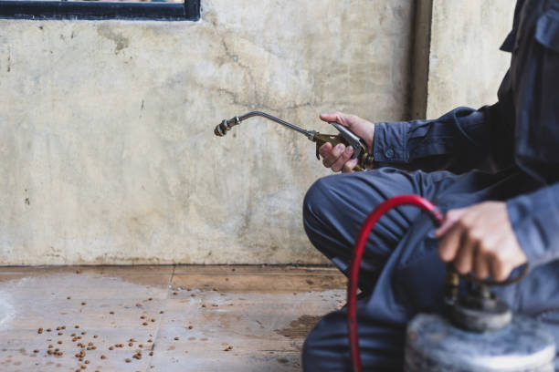Best Affordable Pest Control Services  in Scotland Neck, NC